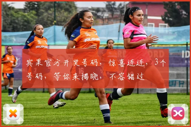 宾果官方开奖号码，惊喜连连，3个号码，等你来揭晓，不容错过