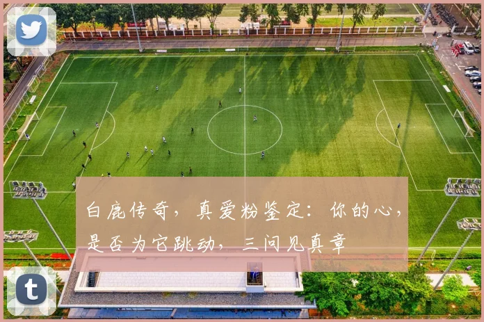 白鹿传奇，真爱粉鉴定：你的心，是否为它跳动，三问见真章