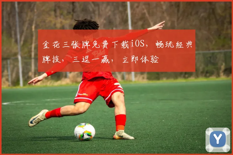 金花三张牌免费下载iOS，畅玩经典牌技，三逗一赢，立即体验
