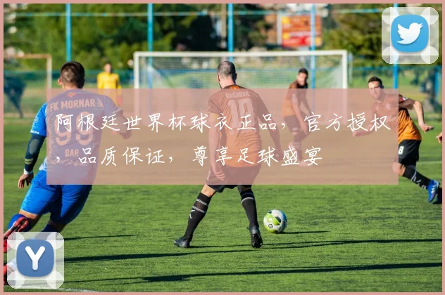 阿根廷世界杯球衣正品，官方授权，品质保证，尊享足球盛宴