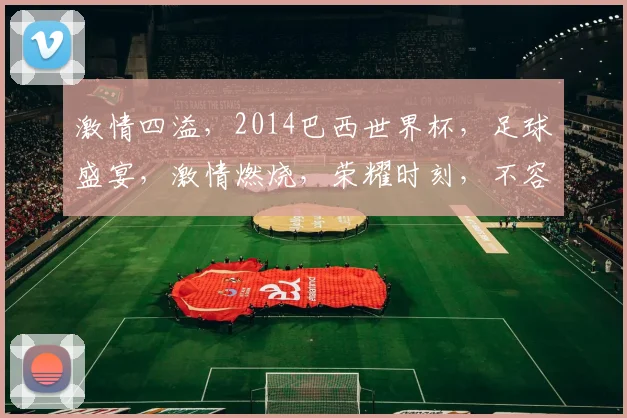 激情四溢，2014巴西世界杯，足球盛宴，激情燃烧，荣耀时刻，不容错过