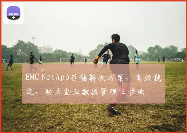 EMC NetApp存储解决方案，高效稳定，助力企业数据管理三步曲
